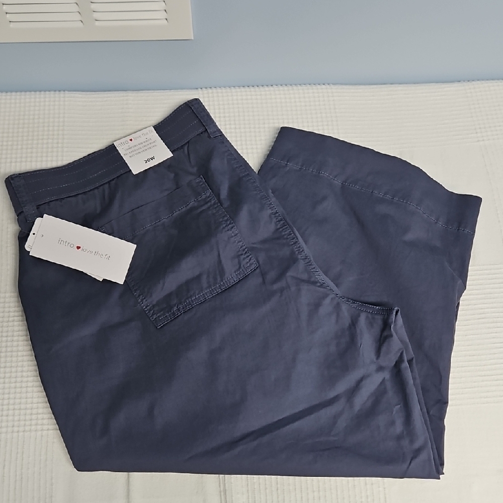 intro. Elena Button Hem Detail Comfort Waist Relaxed Leg Crop Pant: Slate: 20W